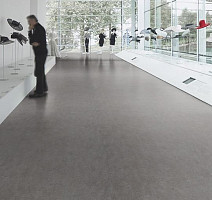 Forbo Marmoleum Decibel on Order 313735 slate grey фото 2 | FLOORDEALER